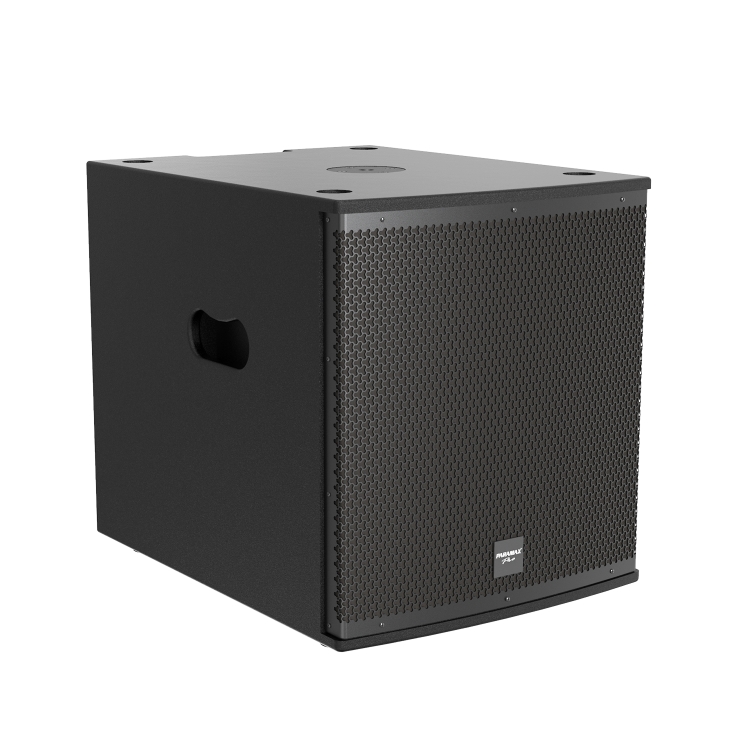 Loa PARAMAX SUB-S40